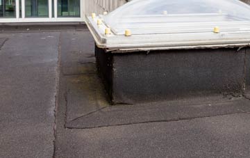 disadvantages of Pelton Fell flat roofs